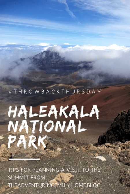 illustration & painting.png